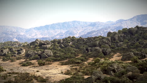 a rocky mountain landscape