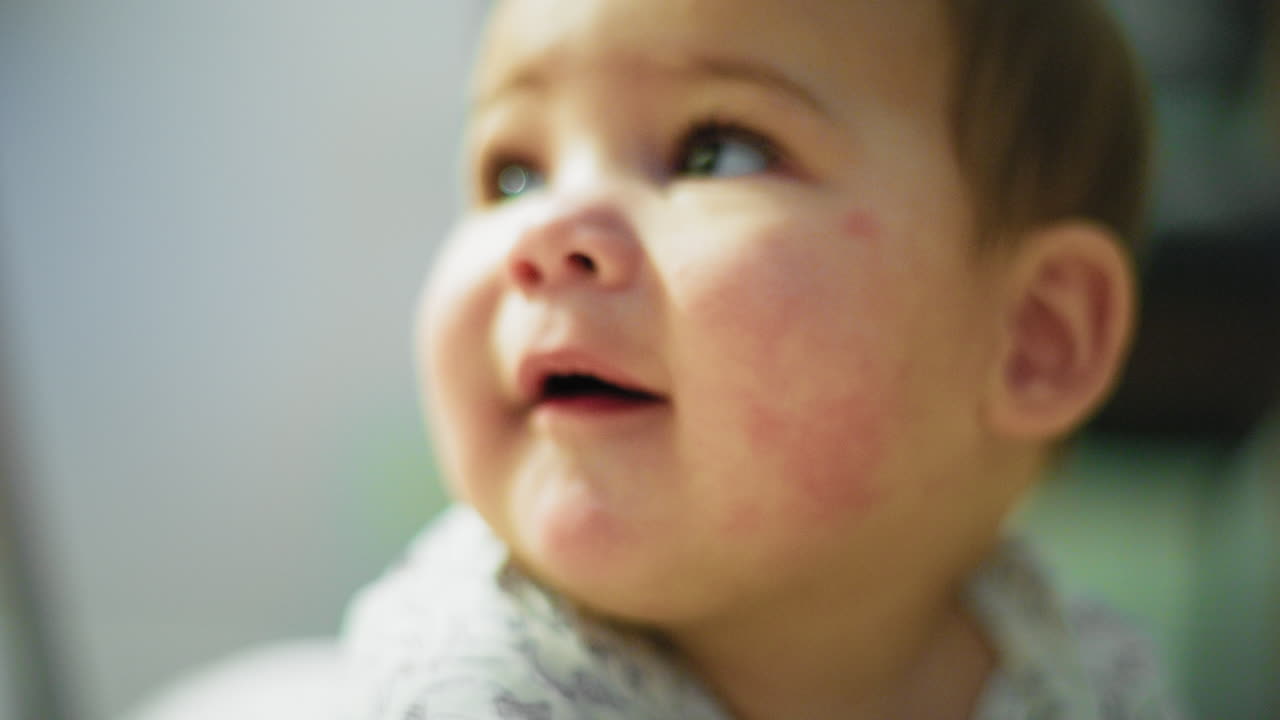 개 가 지나갈 때 바닥 에서 놀고 있는 아기 소년