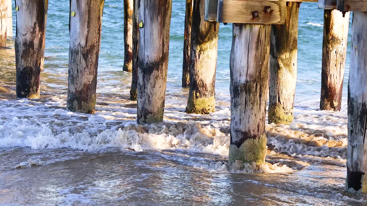 Waves gently crash against weathered wooden pillars under a bridge in Bellarine, Victoria, Australia. Sunlight highlights the serene coastal scene