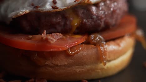 juicy and tasty burger close up and detailed shot