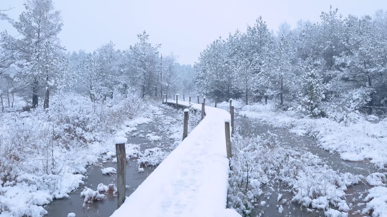 Snowy Winter Path Through the Forest
