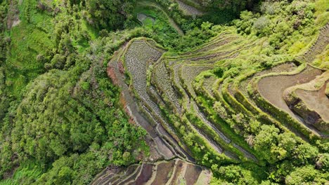 Drohnenaufnahmen-Von-Oben-Von-Grünen-Reisterrassen-Im-Norden-Der-Philippinen