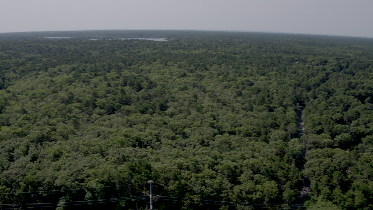 케이프 코드 매사추세츠에 있는 주택 나무와 연못의 공중 팬