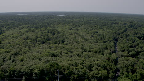panorámica aérea de casas, árboles y estanques en cape cod, massachusetts