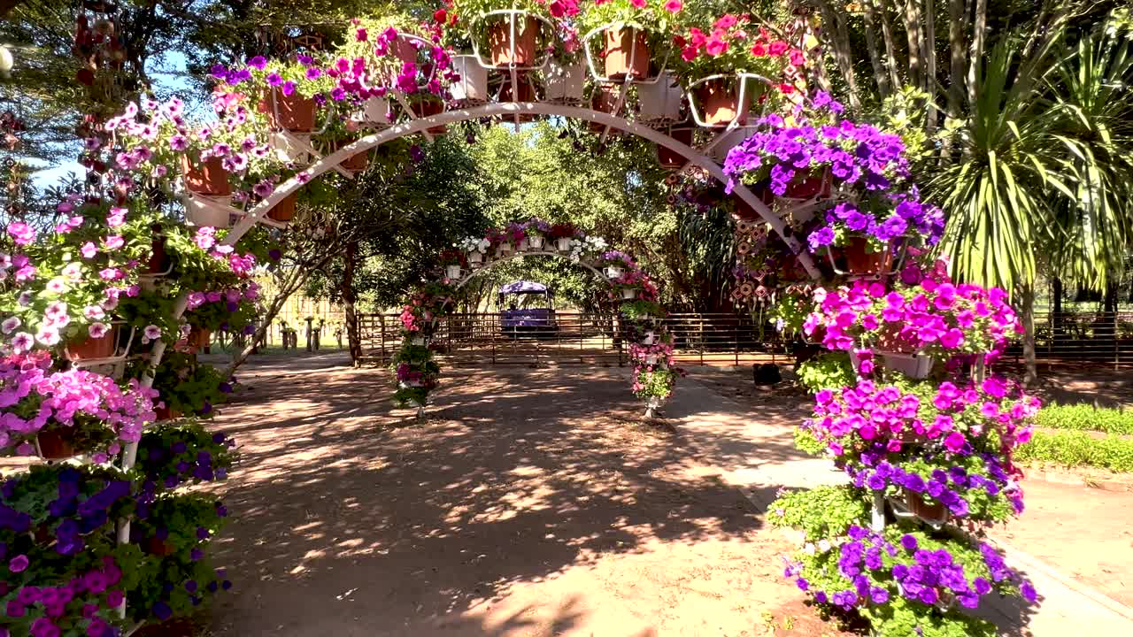 arco de flores coloridas en un parque soleado