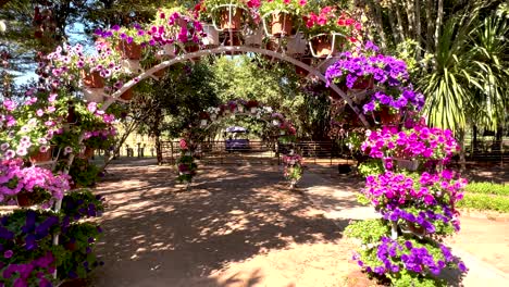 colorful flower archway in a sunny park