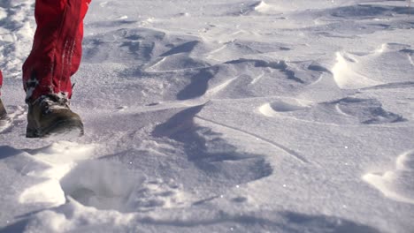 Dos-Excursionistas-Con-Bastones-En-Botas-De-Montañismo-Y-Calzas-Coloridas-Caminan-En-La-Nieve,-Tomas-De-Cámara-Lenta