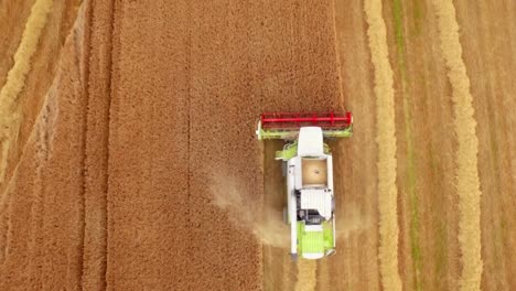 Drone-footage-of-golden-fields-and-combine-harvester