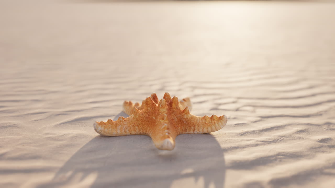 시티 해변의 해자리