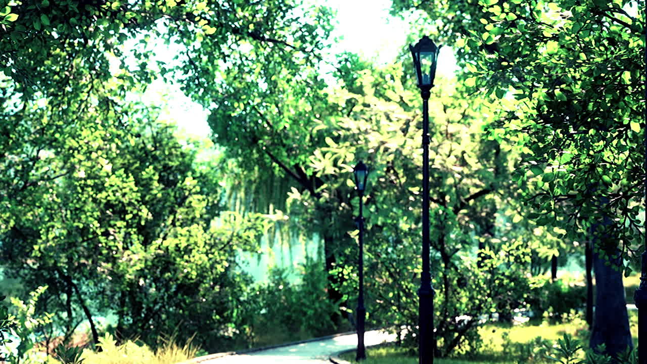 푸른 시골 에 있는 숲 공원 도로 풍경