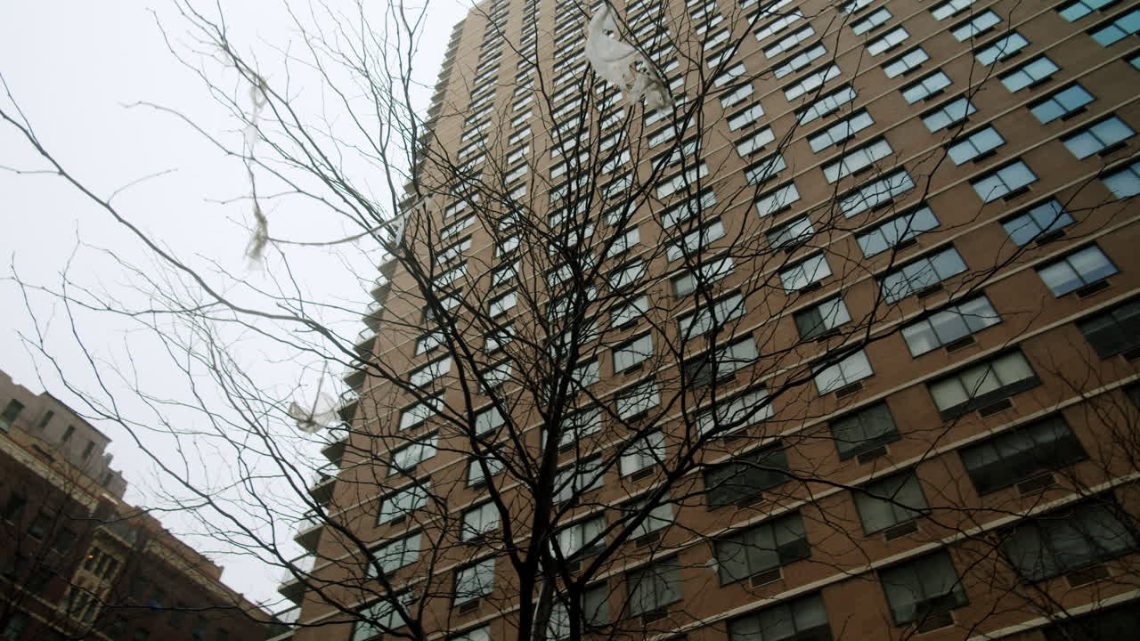 City Buildings and Bare Trees