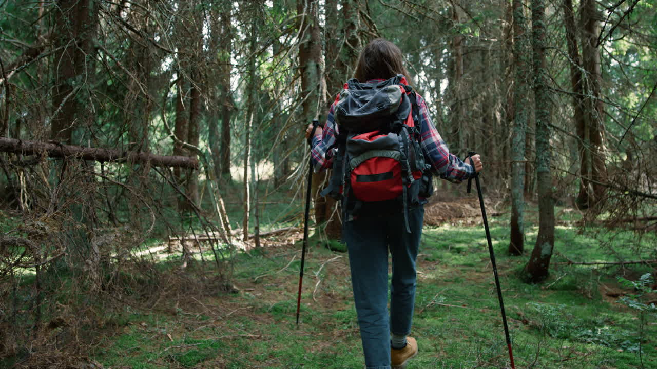 mujer excursionista caminando por el bosque. mujer joven con mochila caminando por el bosque