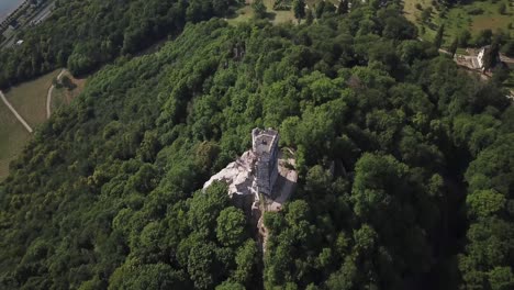 burgruine drachenfels, castillo en ruinas en drachenfels, rodeado por un denso bosque verde