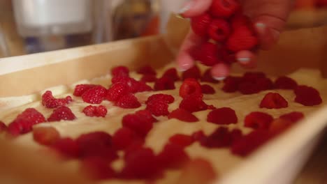 mujer agregando una gran cantidad de frambuesas a un dulce postre casero en un molde listo para cocinar