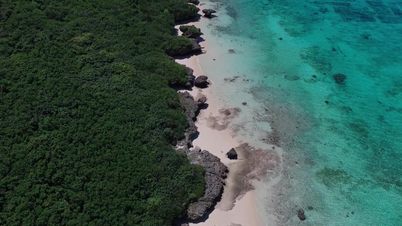 Ripresa orizzontale con inclinazione verso il basso e avanzamento con carrello, che sorvola la battigia sabbiosa, le acque turchesi e la costa boscosa dell'isola di Kurima, Okinawa, Giappone