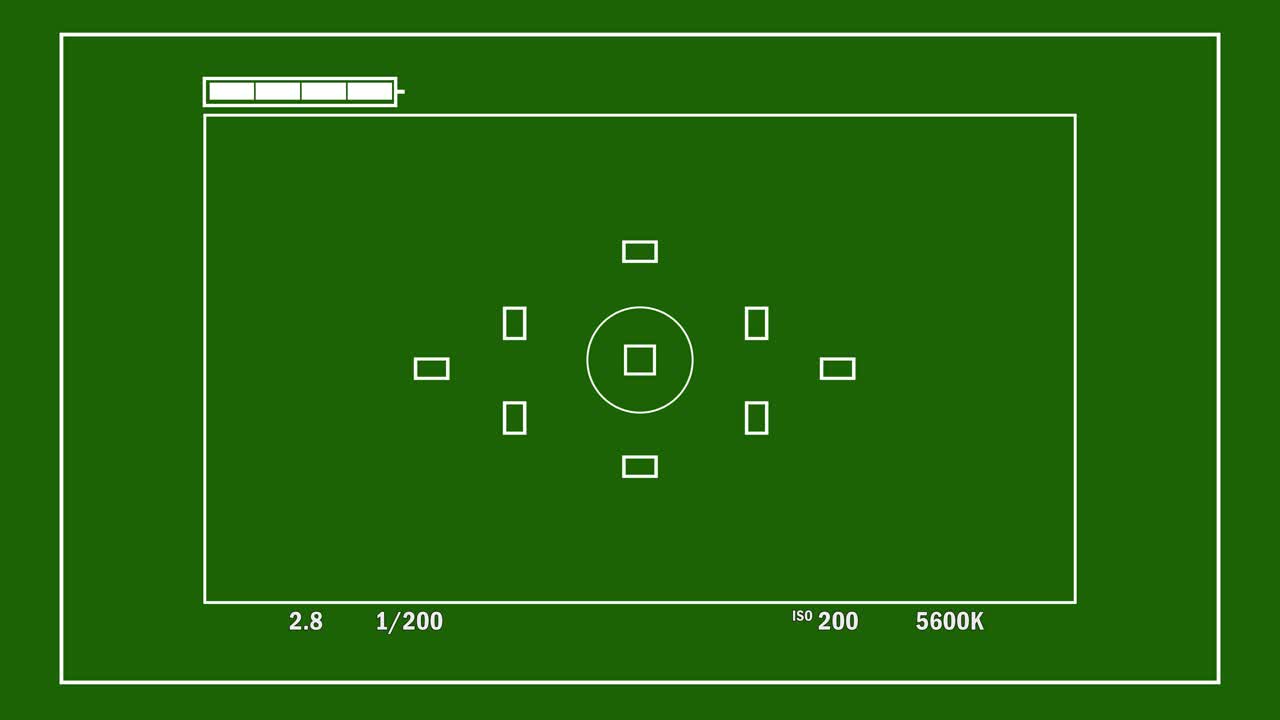 카메라 뷰파인더 녹색 화면