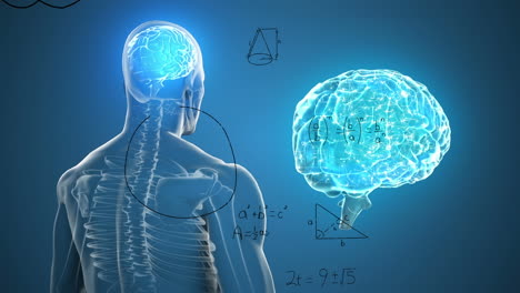 animación de ecuaciones matemáticas sobre el modelo giratorio del cuerpo humano y el cerebro humano