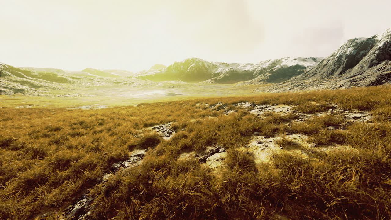 Expansive golden grassland beneath distant mountains in soft sunlight
