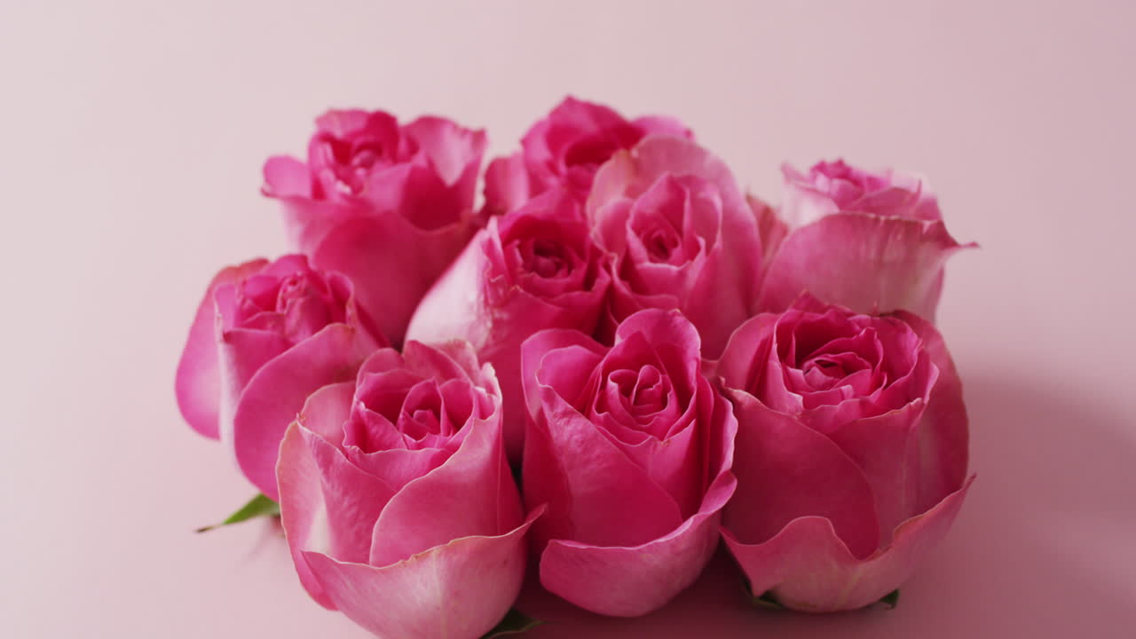 Bukett med rosa roser på rosa bakgrunn på valentinsdagen