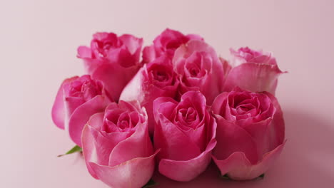 Bouquet-of-pink-roses-on-pink-background-at-valentine's-day