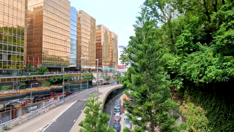 city street alongside vibrant green trees