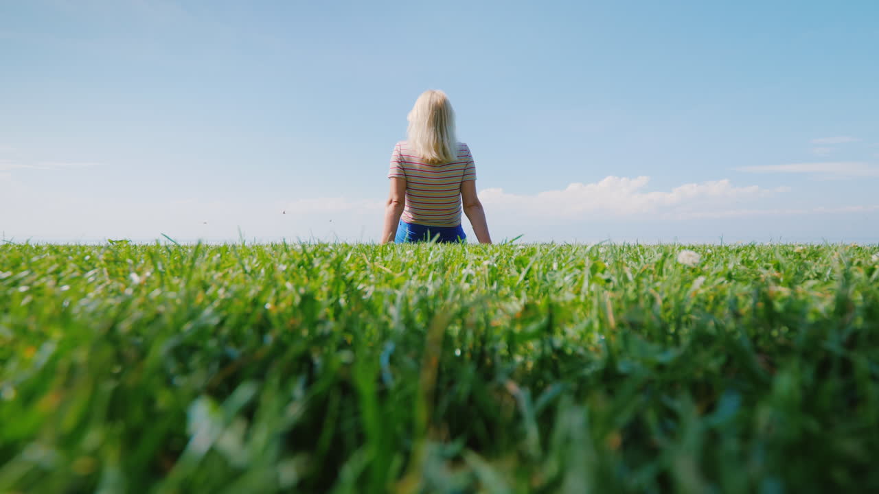 자연의 뒷모습에서 쉬고 있는 푸른 초원의 중심에 있는 젊은 여성
