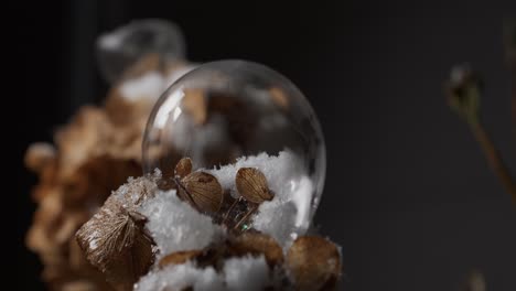 Motion-controlled-time-lapse-sequence-of-freezing-bubbles