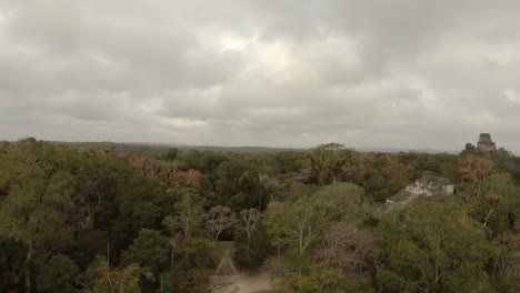 ruinas mayas en tikal en guatemala