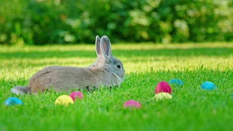 cute easter bunny in a garden