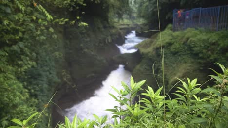 Devil-Falls-flowing-through-nature-Bokeh-Shot