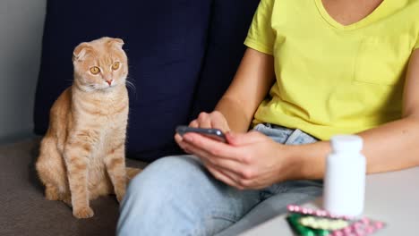 woman sitting on sofa with her cute cat ordering medicine online on a smartphone at home