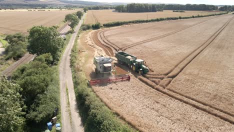 Aerial-footage-of-a-combine-harvester-and-tractor-harvesting-a-wheat-crop