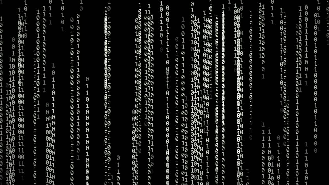 Black and white binary code lines scrolling vertically in a digital matrix style