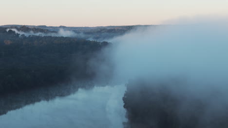 foggy river through the forest