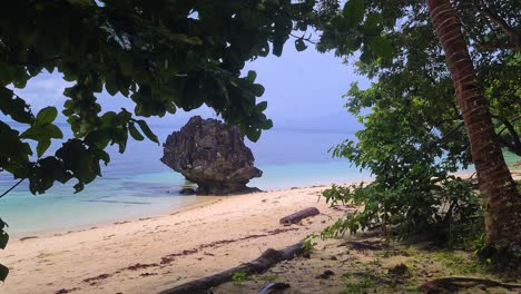 empty wild beach on tropical island, trees, sand and rock in sea
