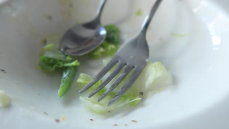 empty plate with leftover salad