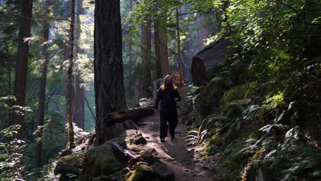 Serene-forest-scene-as-long-red-haired-hiker-walks-down-the-path