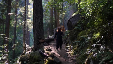 serene forest scene as long red haired hiker walks down the path