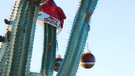 curacao - cactus decorados con sombrero rojo de santa claus con saludos de feliz navidad y bolas de navidad bajo el cielo azul - primer plano