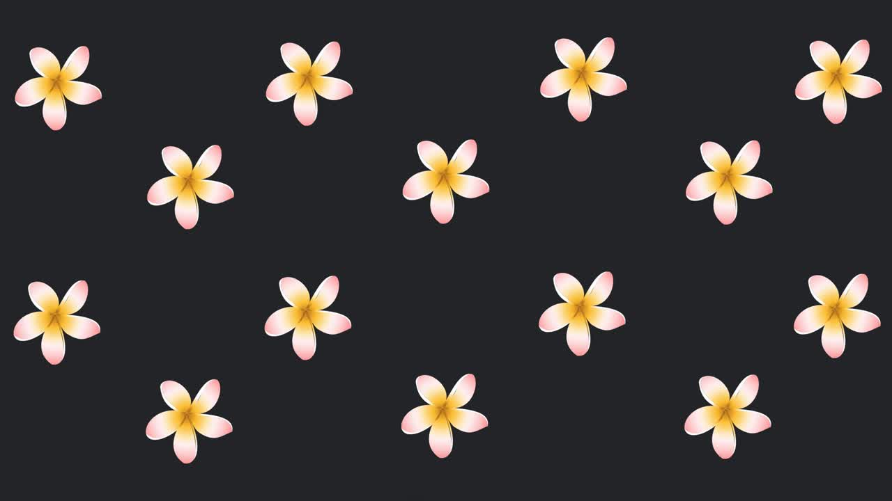 검은 바탕에 꽃 위에 립스틱의 애니메이션