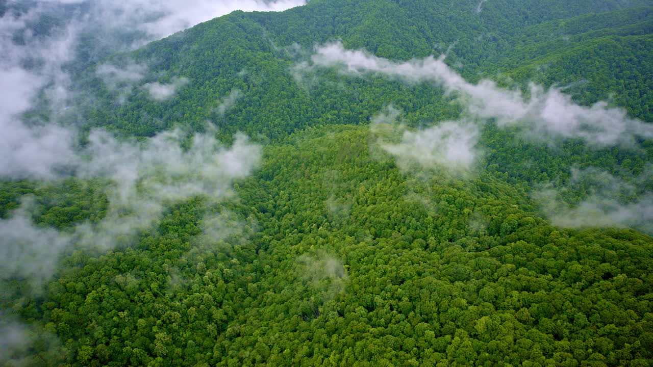 High cinematic drone view of fog and ridges in the Great Smokies
