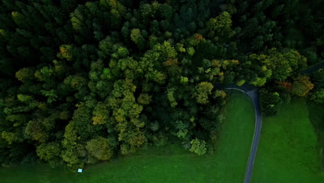 Countryside-asphalt-road-in-green-field-disappearing-in-forest-trees