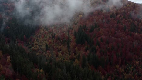 Red-trees-in-autumn-shrouded-in-low-altitude-clouds,-Romania