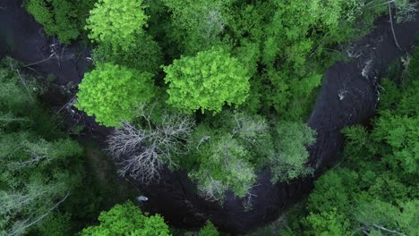 Top-view-of-forest-river-flowing