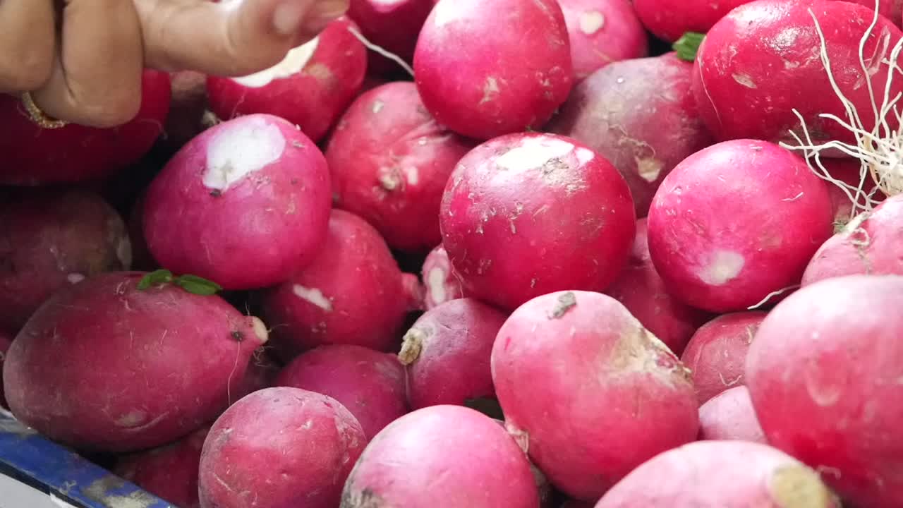 Radishes at the Market
