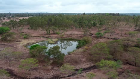 Water-Reservoir-In-The-Field-Near-The-Woodland-In-Daytime