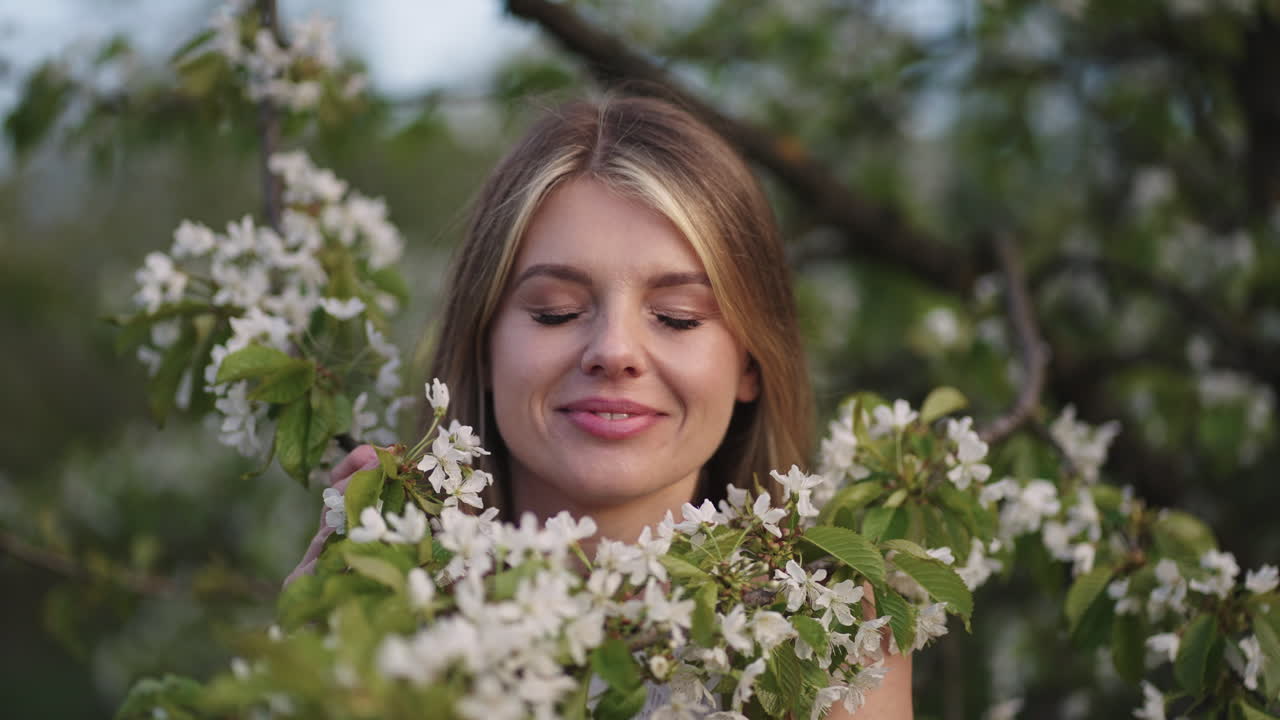 hermosa joven está disfrutando del aroma de la flor de cerezo de la rama del árbol en el huerto en el día de primavera