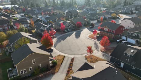 wide aerial view of an american neighborhood community with trees full of red autumn leaves