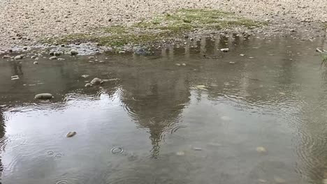 Close-up-shot-of-waves-shake-the-reflection-of-Victoria-Memorial-over-the-lake-water-along-the-side-in-Kolkata,-India-on-a-cloudy-day