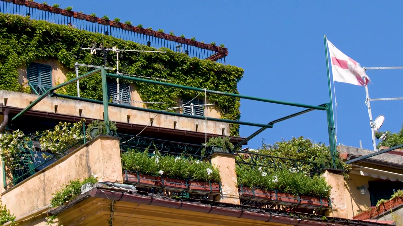 Inquadratura statica dal basso di un balcone verde lussureggiante sotto un cielo azzurro limpido.